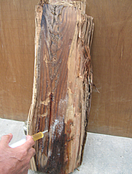 木材へのヒバ油注入施工